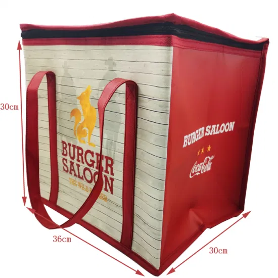 Les enfants promotionnels 6 peuvent glacer le sac frais imprimé par coutume de sac de refroidissement de nourriture petit non